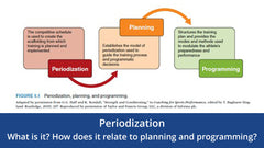 Periodization: What It Is and How It Relates to Planning and Programming