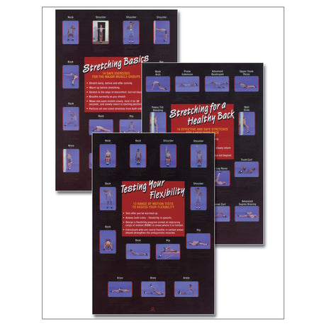Stretching/Flexibility Posters Set