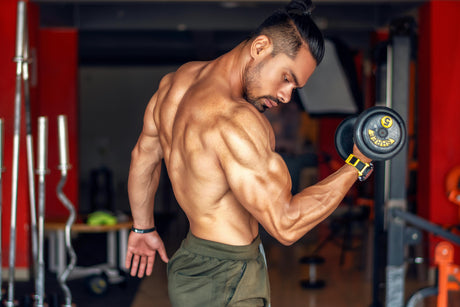 Best books for men to build muscle and size