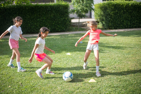 Fitness for Life K-12 Program Foundations